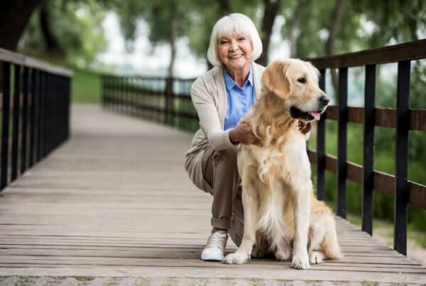 An older woman with a golden retriever on a boardwalk bridge in some woods.