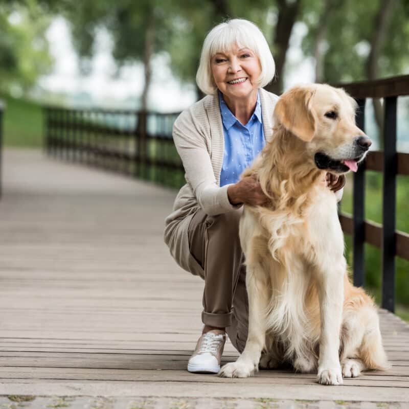An older woman with a golden retriever on a boardwalk bridge in some woods.